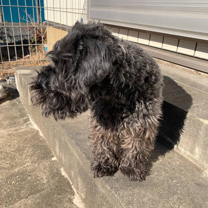 87c76593 ded9 4f76 8422 fbfd5ee9686e 1612054642373