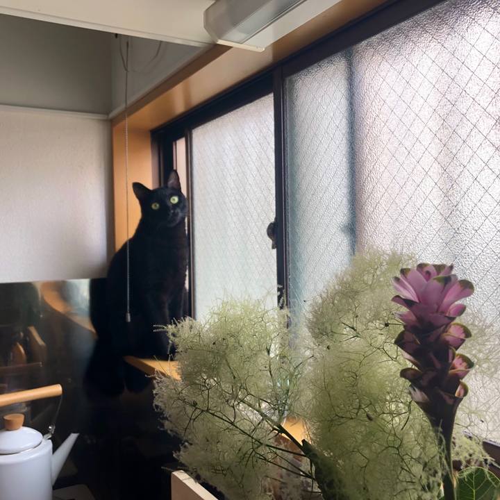 87c7829a 095c 4c9d 9c52 2e0a40e15d12 1592866460548