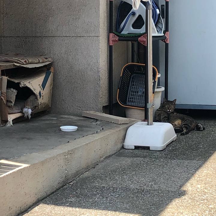 87c7a315 fbd5 43e9 9fea fbe728c0575b 1599976488151