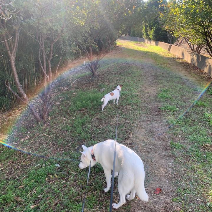 87c7bf0b 7dd5 41fa 9a43 ecaf4614111a 1541207304511