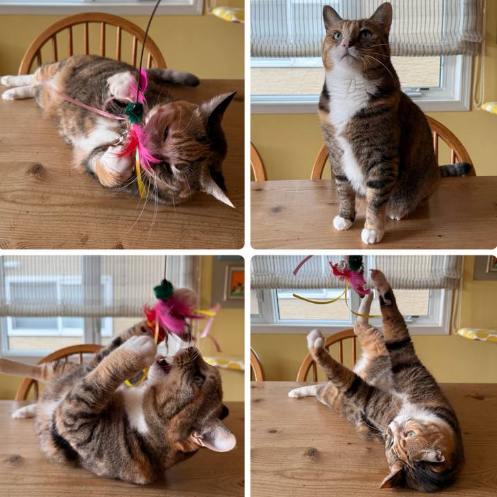 87c7bf6f e1e4 4985 b287 e1c20c38e9d9 1766444503297