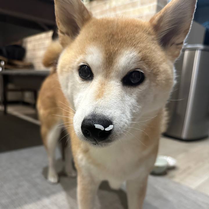 87c7dd0f b210 4462 b963 5f707a5896d0 1716870733789