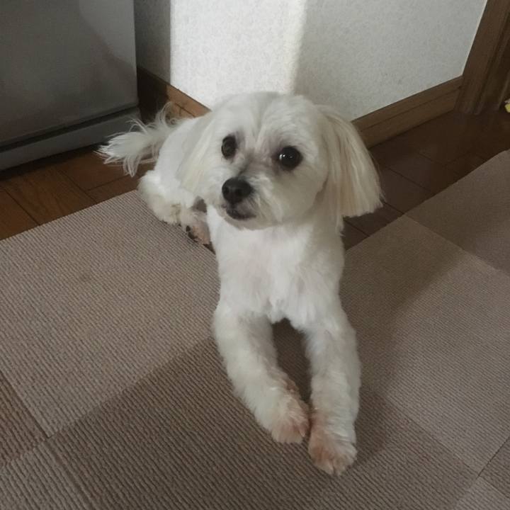 87c7e9b3 e55d 4522 961d d3acc0a75f36 1527327262931