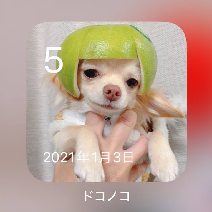 87c81147 9fef 4bf7 97c3 e2a3753ff36c 1704431892232