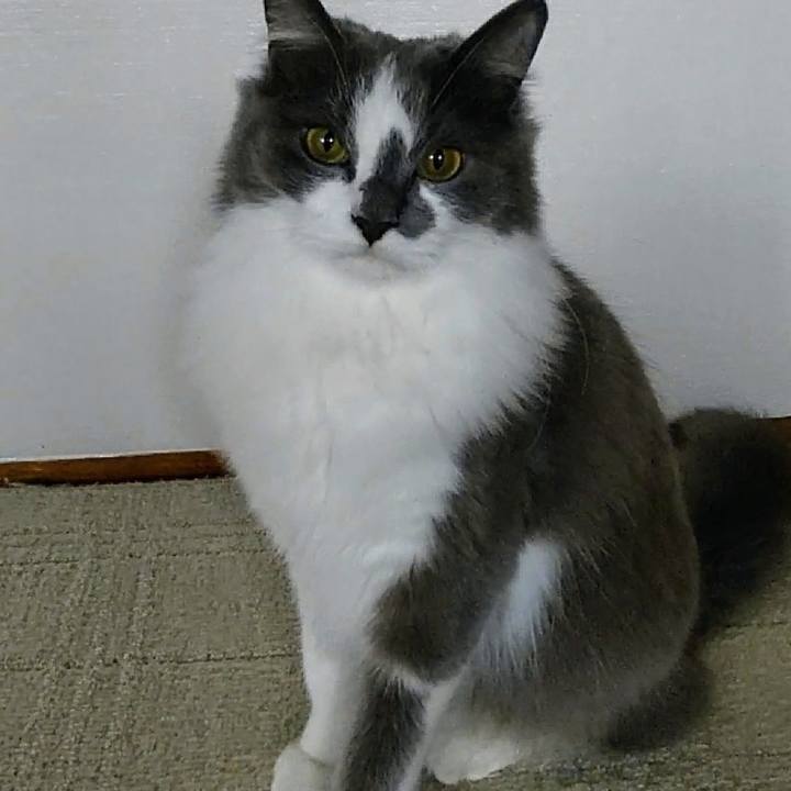 87c84c3c 6b97 499f 82e5 c7680f25362c 1615889716837