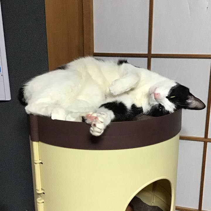 87c866b4 6816 4ba0 b983 dfc1f69d6c96 1737109384643