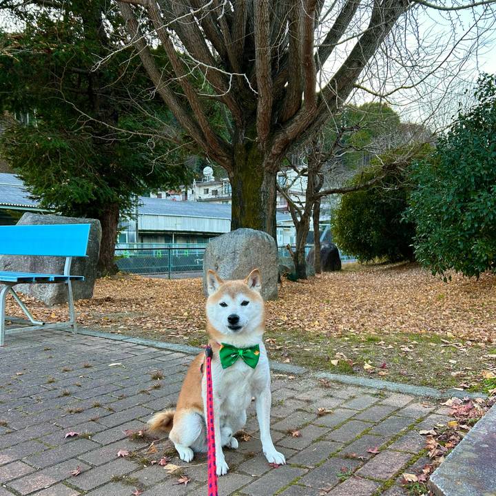 87c86833 1a12 4933 9929 ce391169dd38 1701680378060