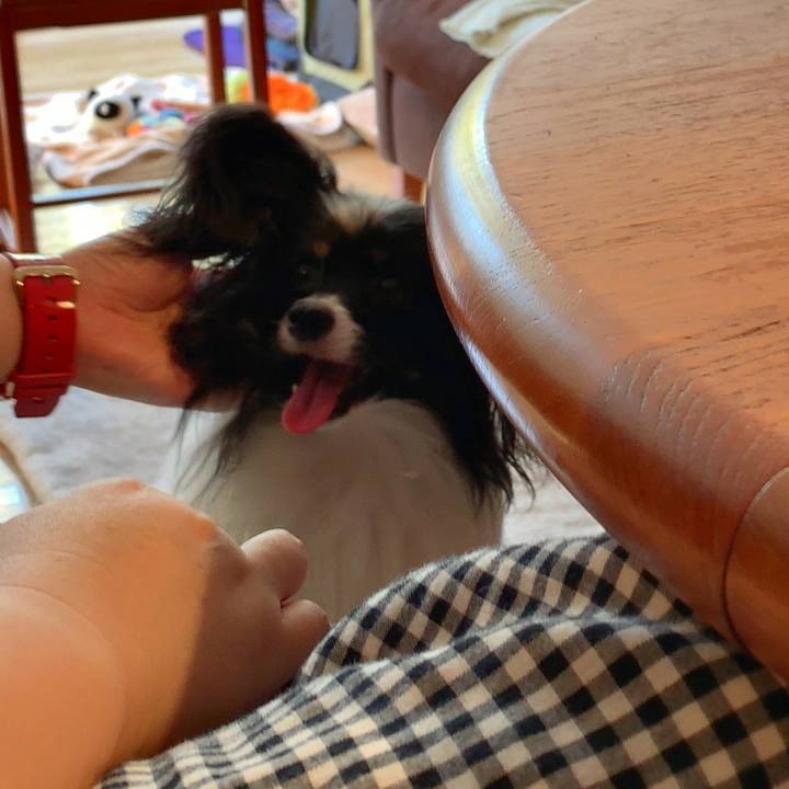 87c8cf9f 90fc 4285 9cfe 839a0daf7248 1540630347394