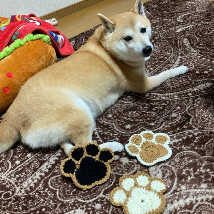 87c8e67d 879b 4ab9 a5f1 da1e89dfb7b1 1616931141358