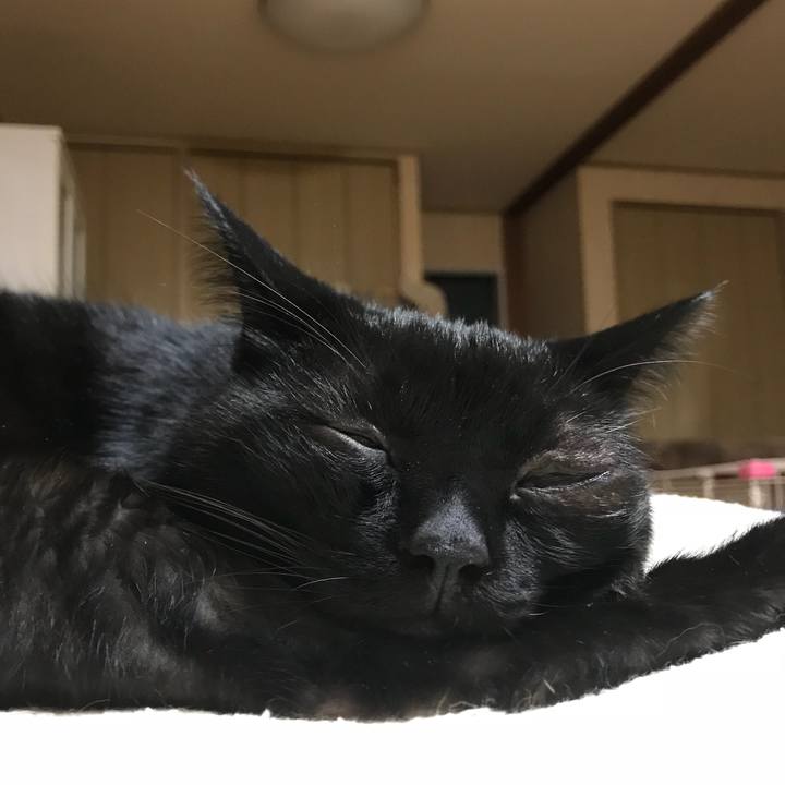 87c8f6d6 5877 446a a53a 5e0c3bae4ff8 1538912600883