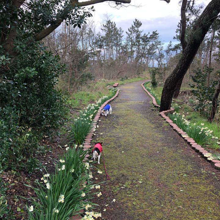 87c90e14 442c 486f 9e97 d8e4bc3e1097 1583883006164