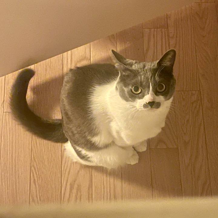 87c9520c d727 43b4 be0d 2619d5f04c4d 1639040932750