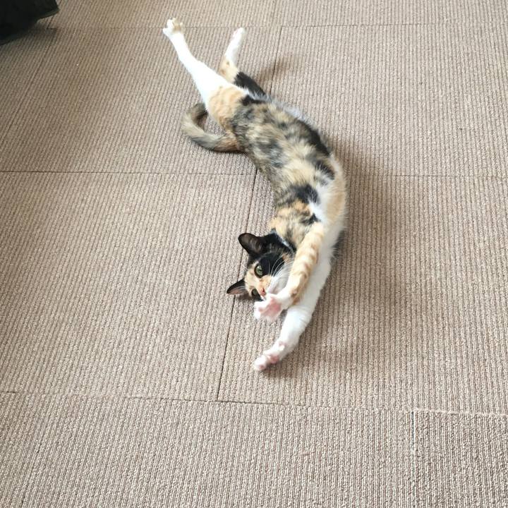 87c96882 5e66 47db bfc7 2f4b5411bf33 1518408514918