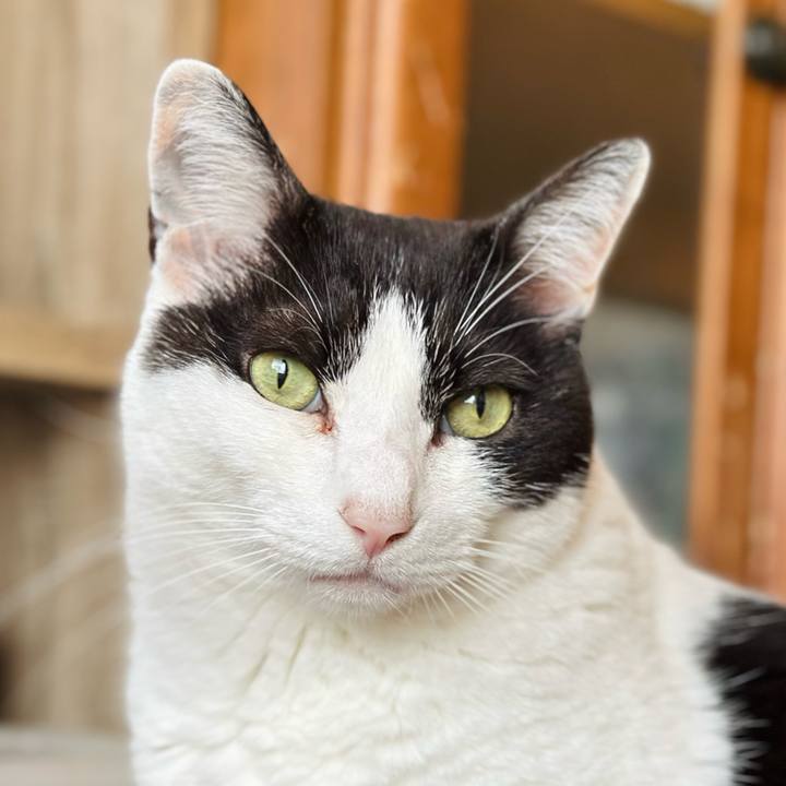 87c98325 42cd 48d8 910d a7ea5c16b64a 1717205795639