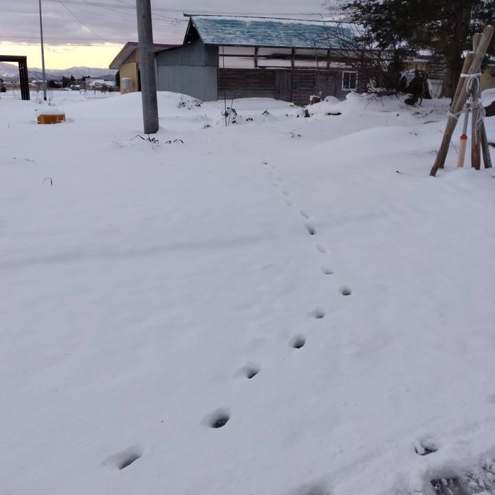 87c9a2b5 498b 4b91 aa76 c636fd29c652 1705443621832