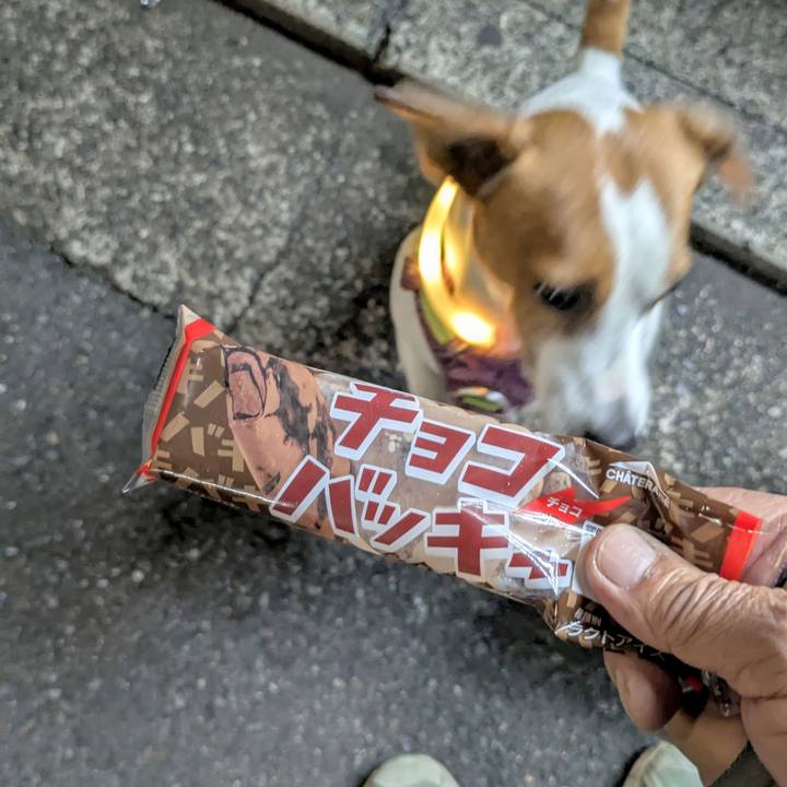 87c9d1ab d7d3 47b2 a57b 17784c539f26 1764802368821