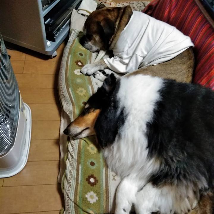 87c9da7d 34f7 4cd7 b1cd accc07e71f6f 1520511952346