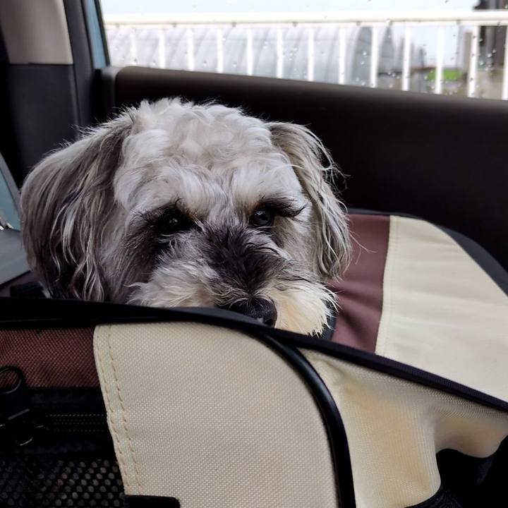 87c9defc db84 4837 8641 936d43f6bb45 1750768685492