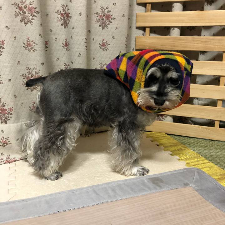 87ca0879 ed54 4580 9d7c 8f54671defc3 1639149177146