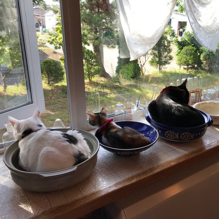 87ca08f1 5841 46c5 aa05 5ed4f56475ac 1735911560485