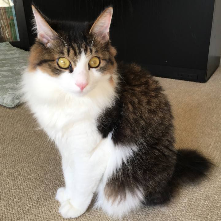 87ca218f 59eb 469b bd30 09c9570d8d7e 1511670083614