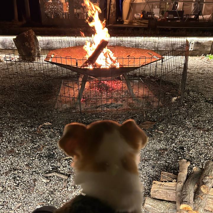 87ca4546 35c5 4a79 9b4c d45fd8efb63e 1767261803566