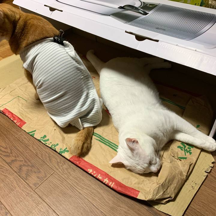 87ca506e 8552 45fb a37f db5a83b7d904 1571920451939