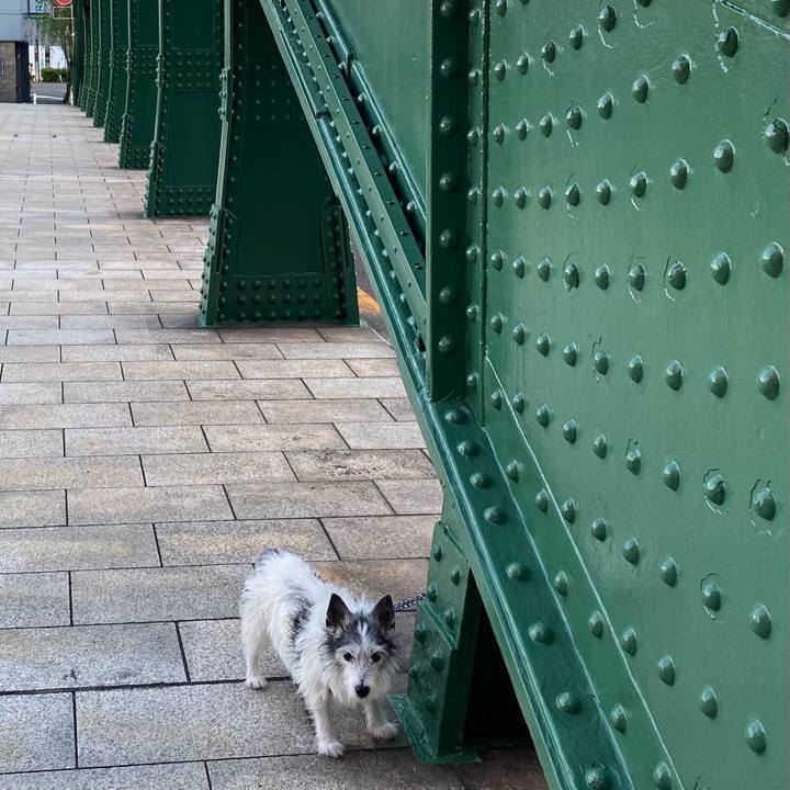 87ca7a49 6919 4018 934d 34b02085b5d6 1618831997471