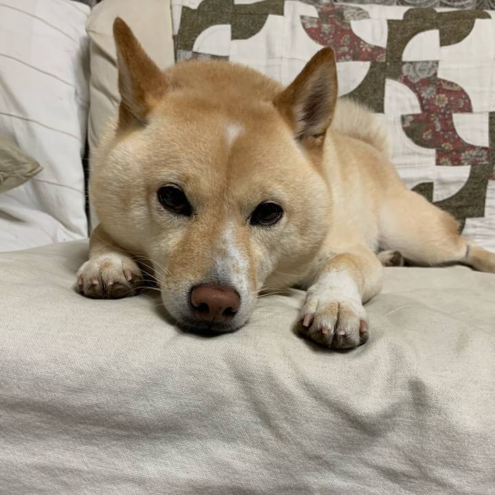 87ca8dfe 3dd9 42a1 8ca9 1eac8d506339 1626778469537