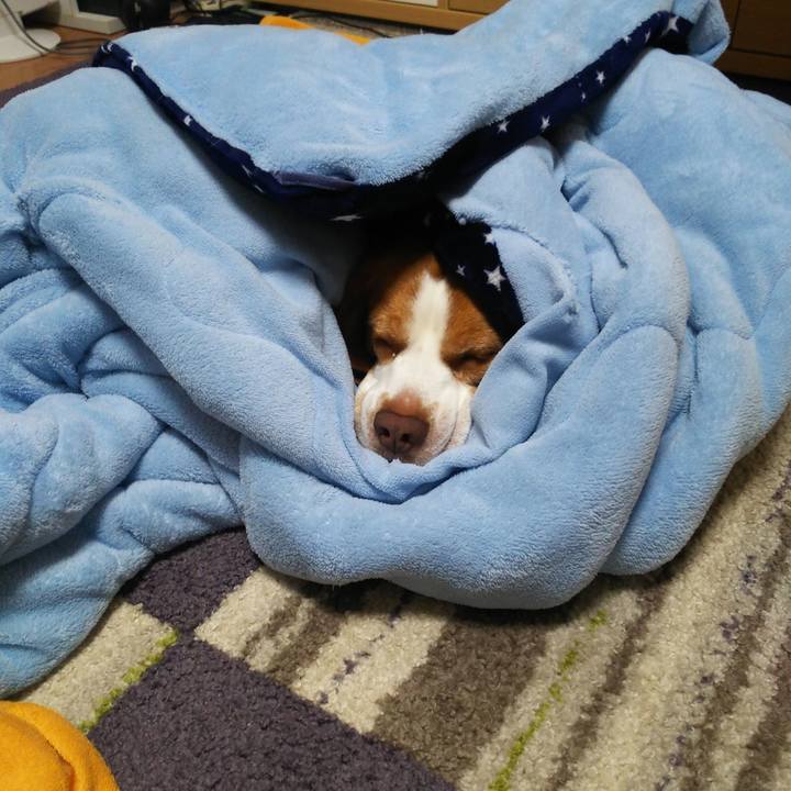 87caa8e8 fad3 4f36 8ad6 508db5593a47 1589988138986