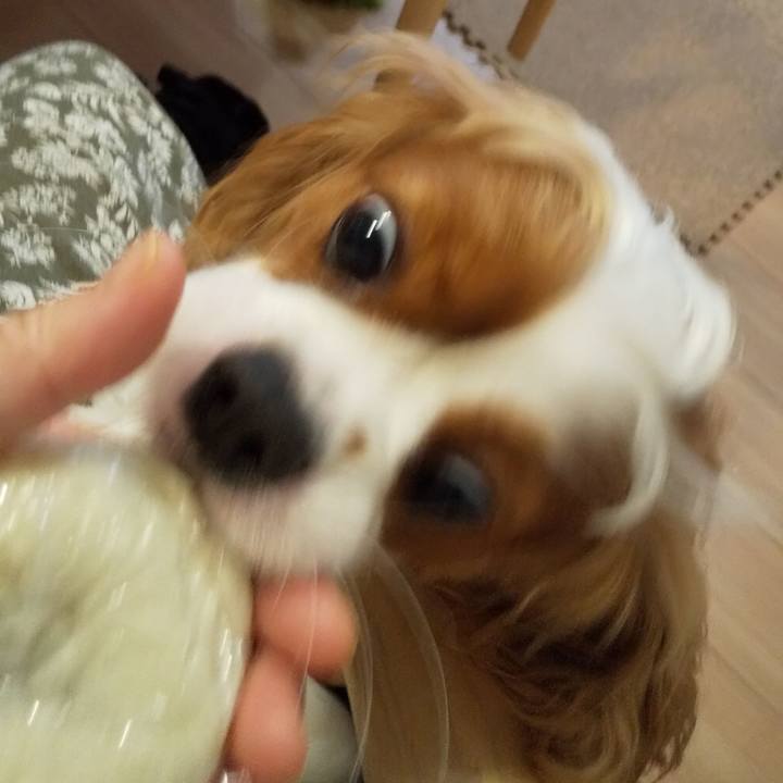 87cab48c 7a61 418b b171 a527c6d14e69 1593615793162