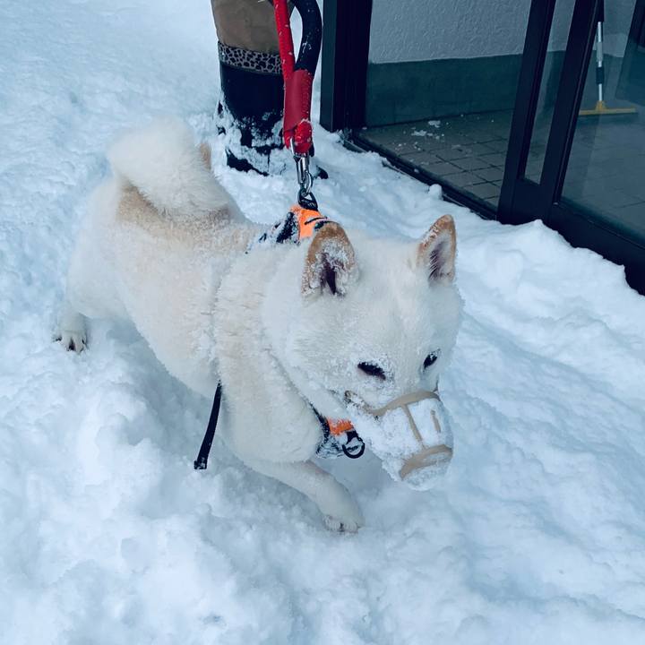 87cabe10 3943 4d05 968c 1db340740774 1673222524103