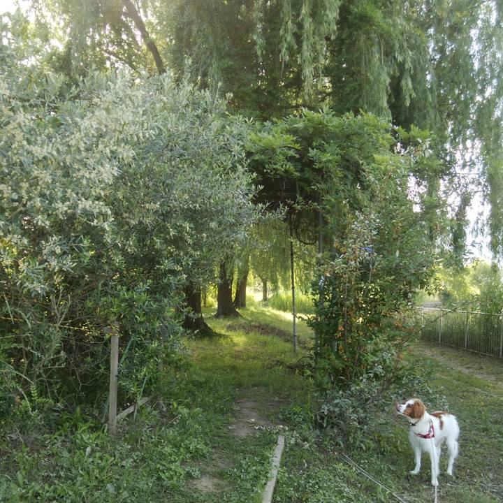 87caee67 a1e9 4595 af75 573f0393e6be 1526860884281