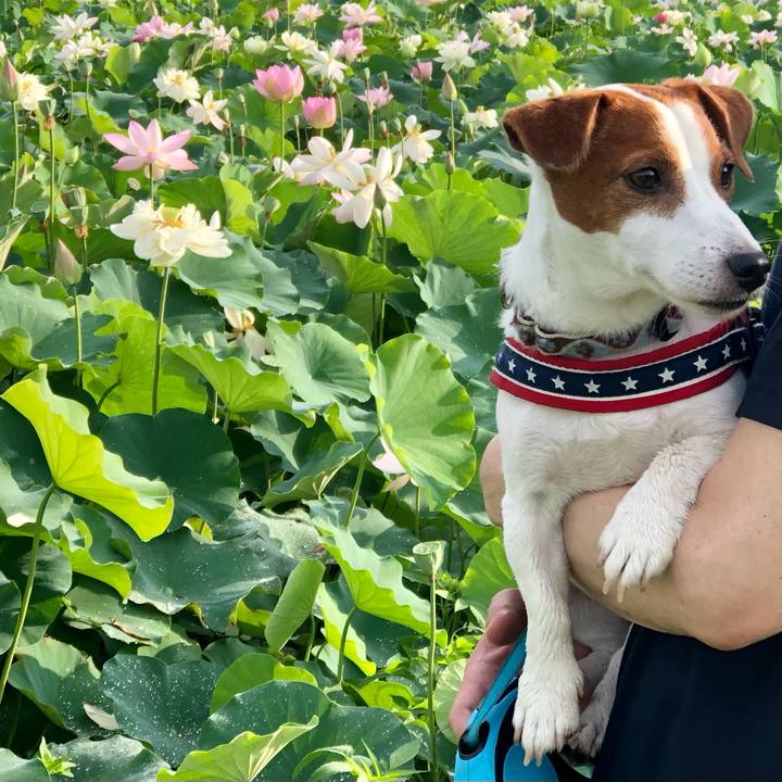 87cafad1 23bb 4d31 9803 e67ec12ad8d0 1657931272577