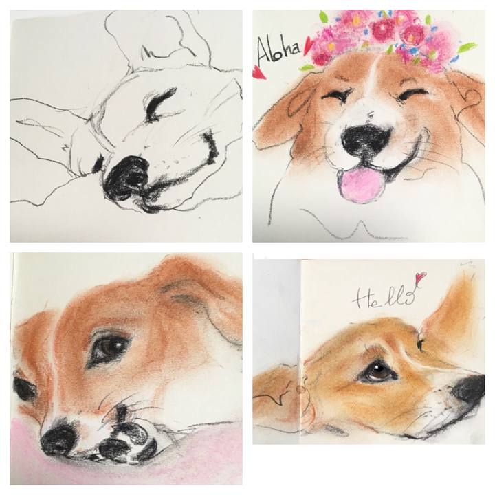 87cb0630 6492 4782 9189 dc5a21eeaaba 1617898502195