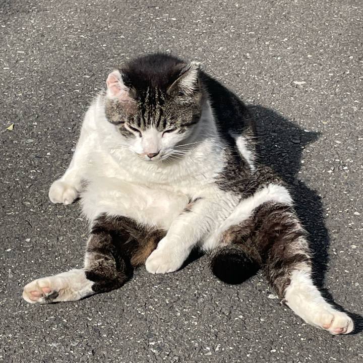 87cb1016 ac80 4595 bbba 078b7d0f8b19 1651970953525