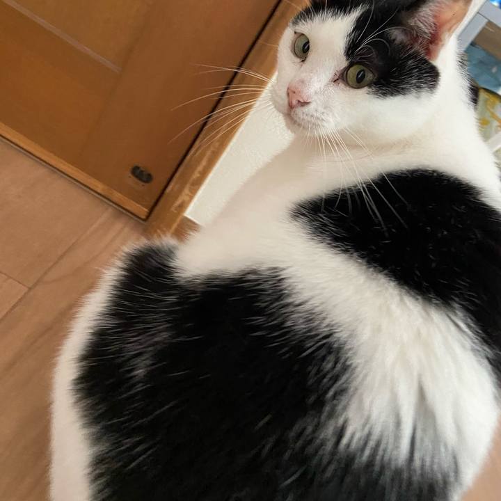 87cb4f3d 1730 4a21 b5e8 2b9877c2d8ff 1596286703466