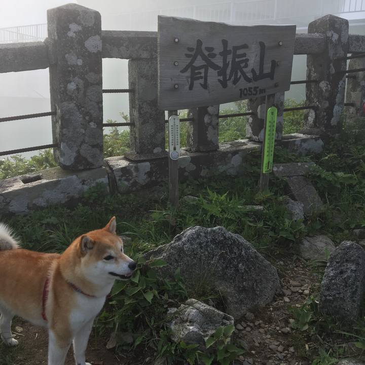 87cb8304 ac1c 4d6b 9783 93c9234a51ad 1563197189114