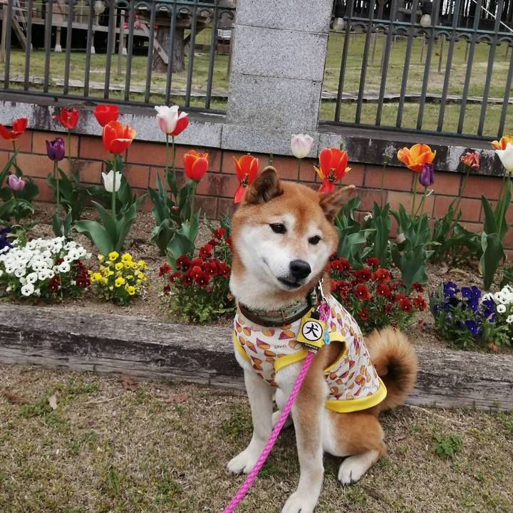 87cb9100 28a1 4a3a 9151 cda362af1214 1713751984668