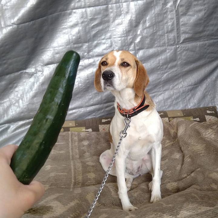 87cbba9f 445d 4f21 9682 7e3a894c2ab1 1623122169520