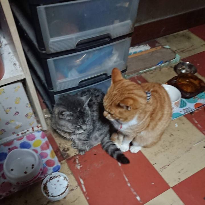 87cbbb59 f51c 45e0 819c b4ca92d964a3 1606247315008