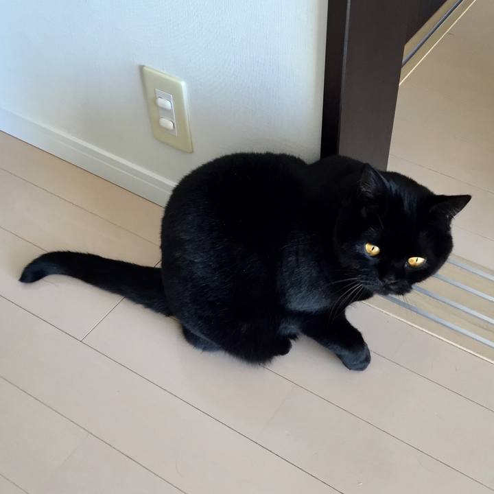 87cbbcb2 968b 4e5b 947a 62a39b3ada45 1584601024125