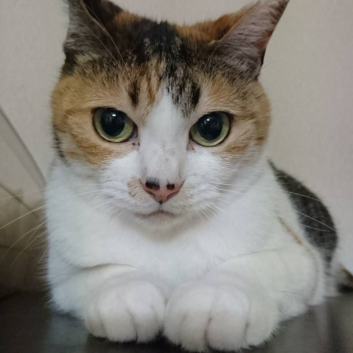 87cbbd7b 6b2c 490f abaa 78778dee3922 1534334710215