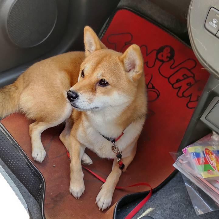 87cbcb85 f786 4aa4 b389 f2881eaeea34 1637806982005