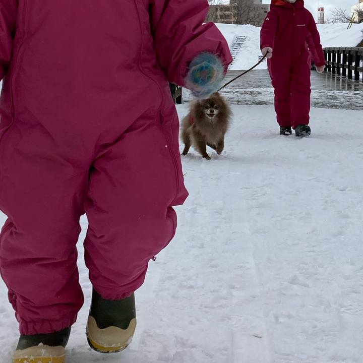 87cbfdec 2cd3 439c a41a d2d8ec988400 1645073987582