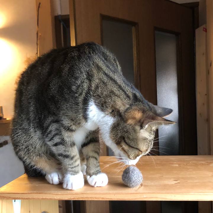 87cc156a f735 45e7 ba30 d2c5dd3326ba 1592524011404