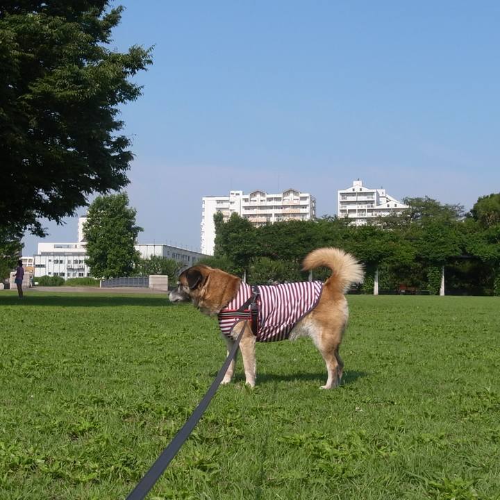 87cc2e35 b465 4298 84dc b32806fde25f 1610669414123