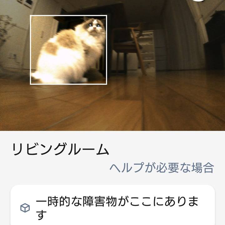 87cc32b8 fc76 4de1 ad52 5fc44ab2b928 1790152647583