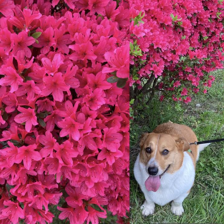 87cc7756 4cb8 4b68 a23e ffe962895db7 1713747481678