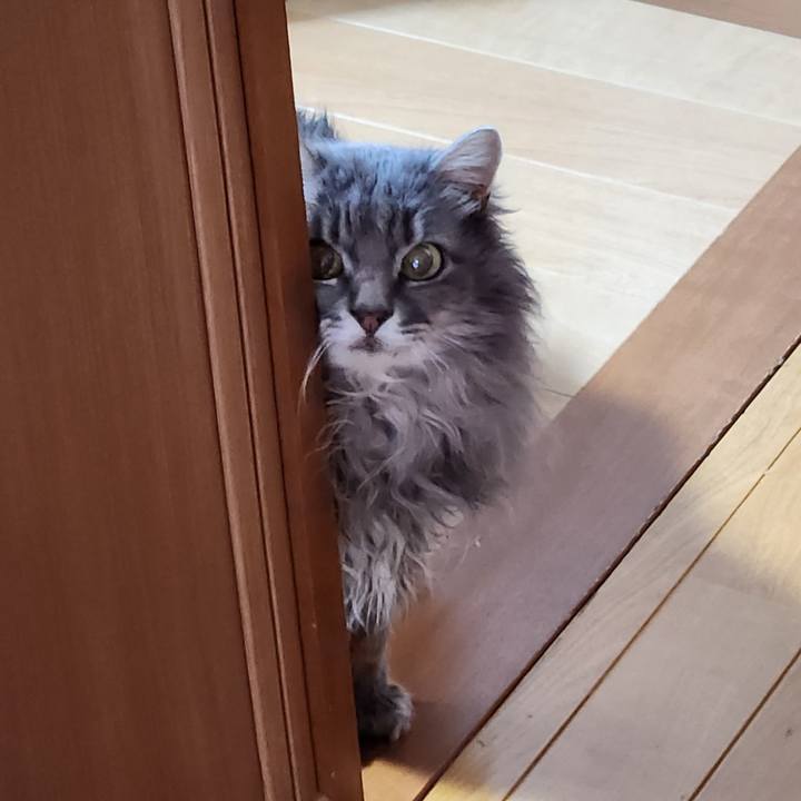 87cc7d04 565d 4f9e bd8d e93512d68b16 1741645495130